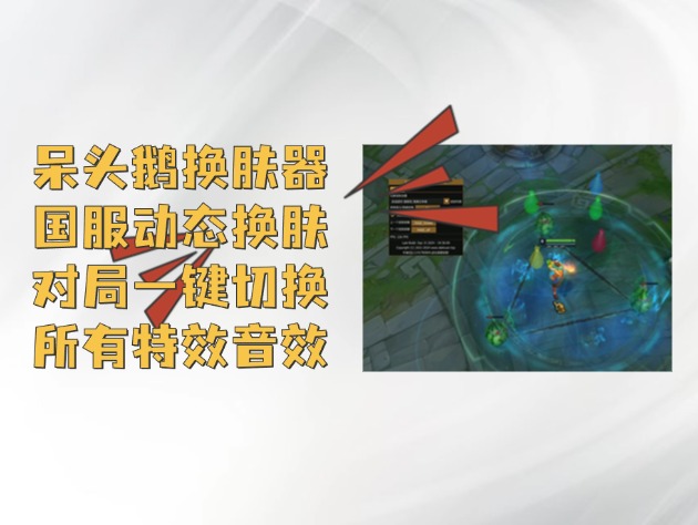 LOLl呆头鹅免费换肤,稳定不封好用
