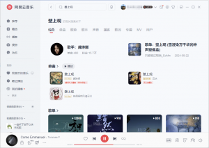 破解版网易云/酷狗音乐VIP，登录就是会员-呆头鹅网赚库